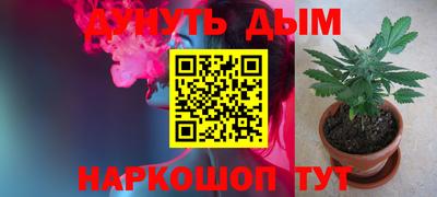 прущие грибы Апшеронск