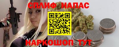 прущие грибы Апшеронск