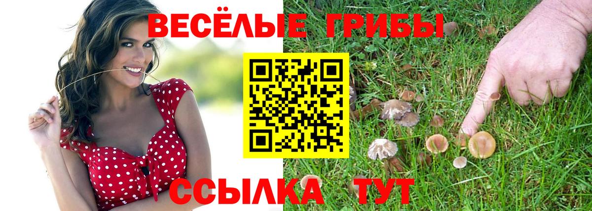 Галлюциногенные грибы прущие грибы  Вход с VPN  Волгоград 
